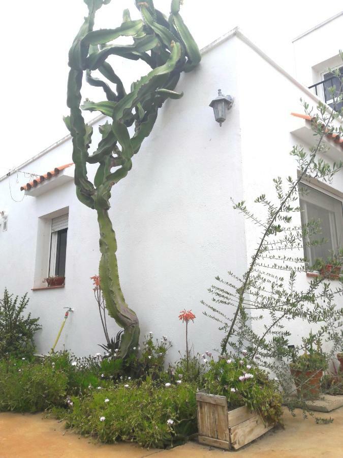 La Casa De La Lluna 엘 포블레 노우 델 델타 외부 사진